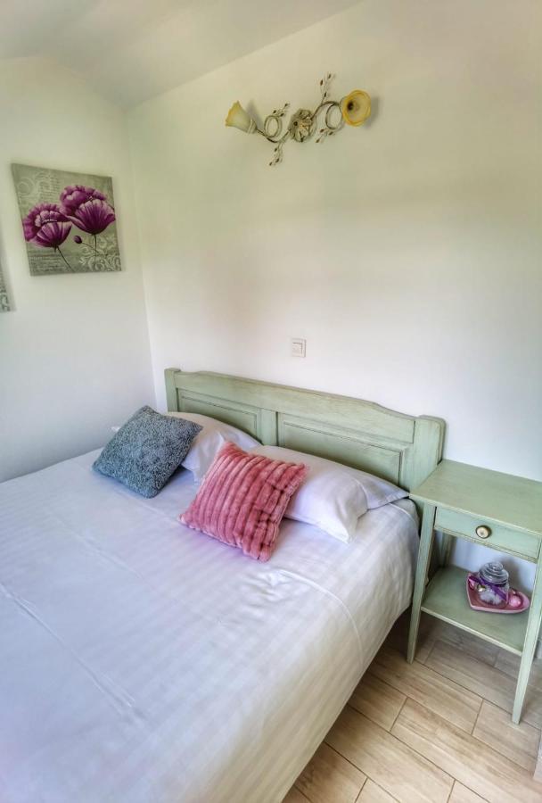 Dvori Dida Mile Villa *