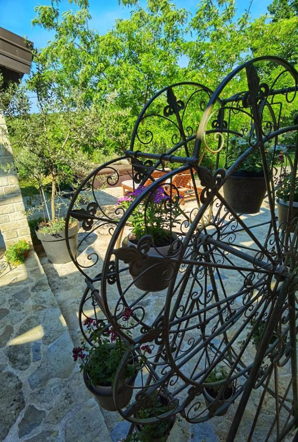 Dvori Dida Mile * Sveti Petar (Zadar)