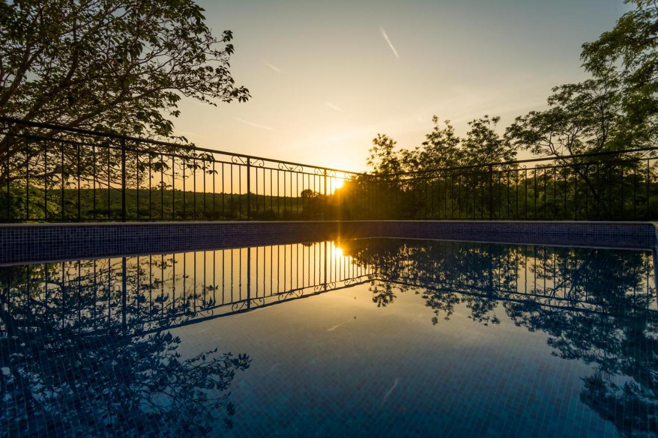 Dvori Dida Mile Villa *
