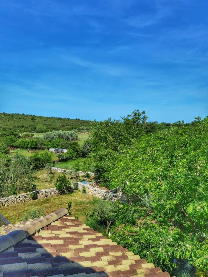 Dvori Dida Mile
