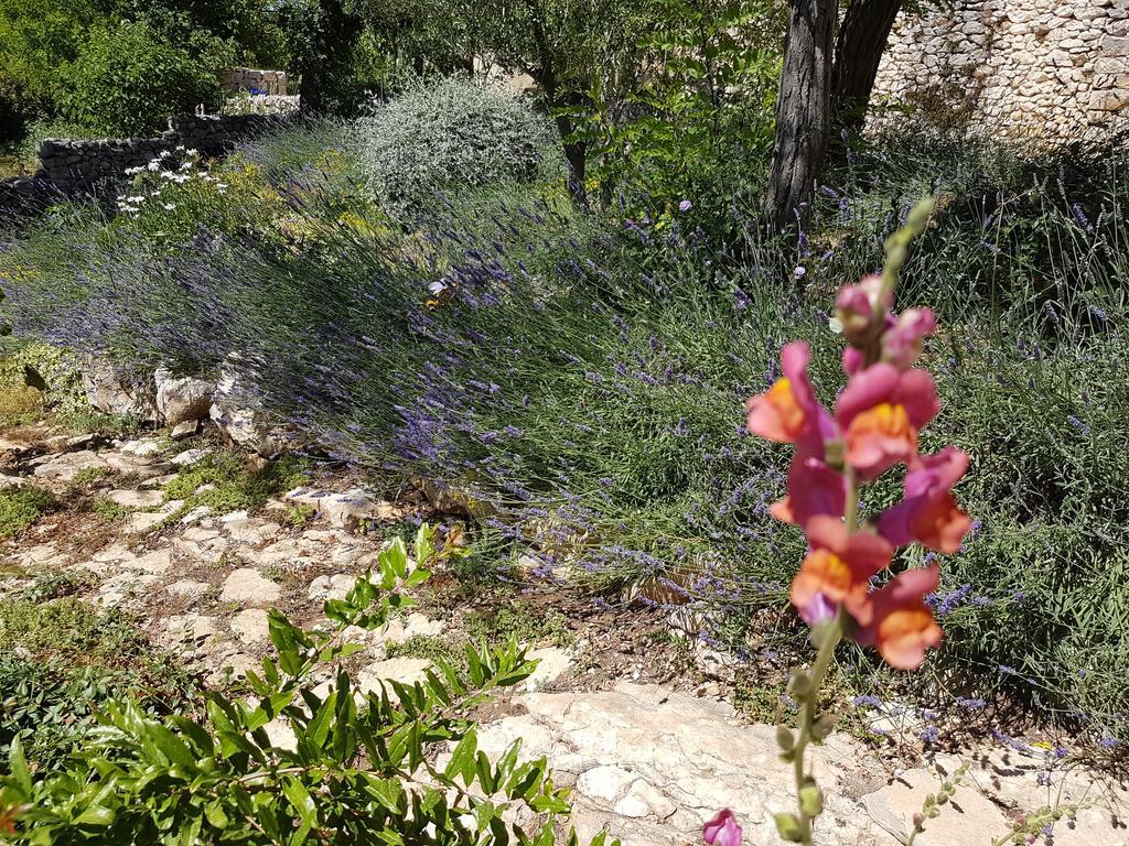 Dvori Dida Mile Villa Sveti Petar (Zadar)
